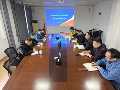 瀘天化股份公司紀(jì)委書記陳偉帶隊到弘潤公司開展專項(xiàng)督導(dǎo)檢查